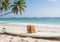 CULTUR 2 Pack Eco-Friendly Bamboo Surfboard Wax Comb & Scraper